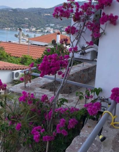 Veranda Blue - Poros Poros Town Exteriér fotografie